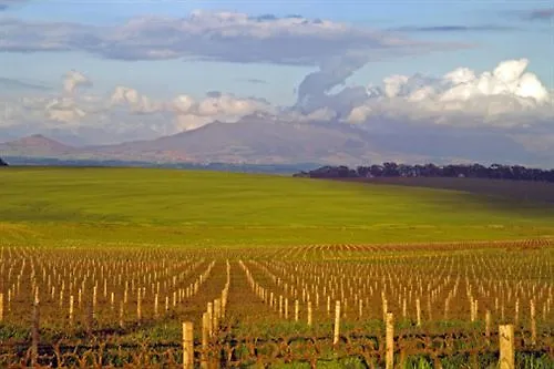 Meerendal Boutique Hotel Durbanville 4*,  South Africa